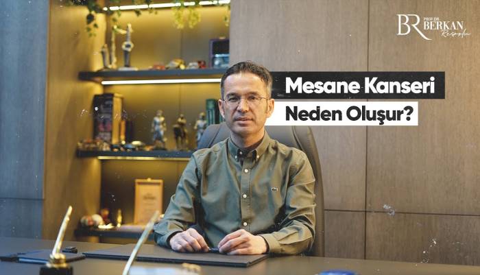 Mesane kanseri belirtisi,mesane kanseri miyim,mesane kanseri tedavi ankara,mesane kanseri ankara en iyi doktor,en iyi doktor mesane kanseri tedavisi,mesane kanseri tedavisi ankara,mesane kanseri tedavisi nasıl yapılır