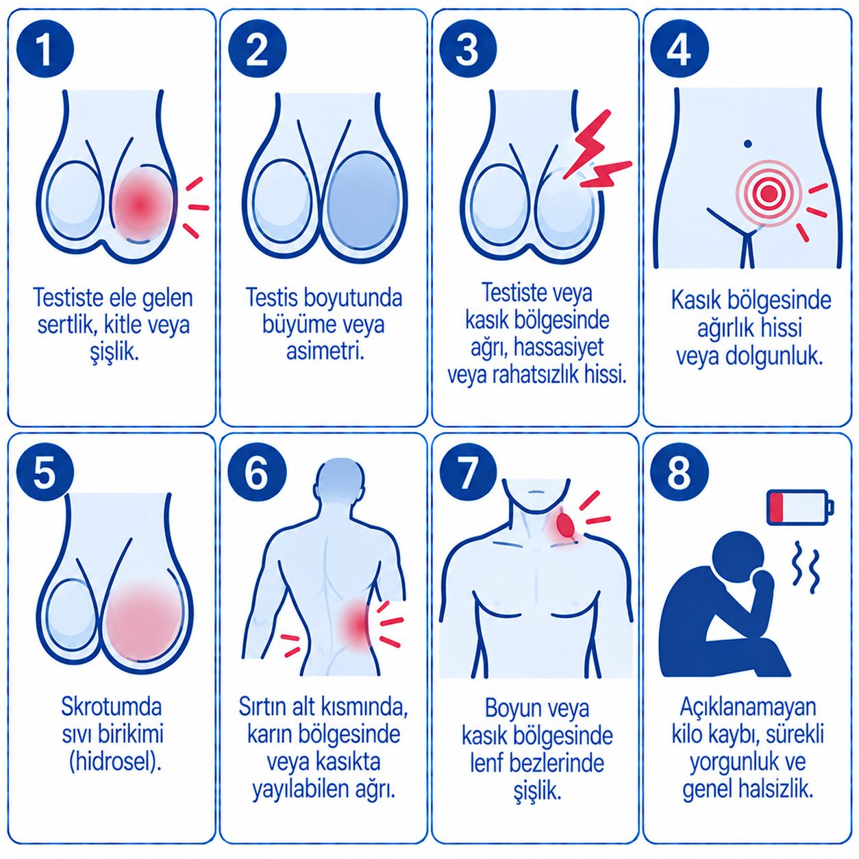 Testis Kanseri Belirtileri